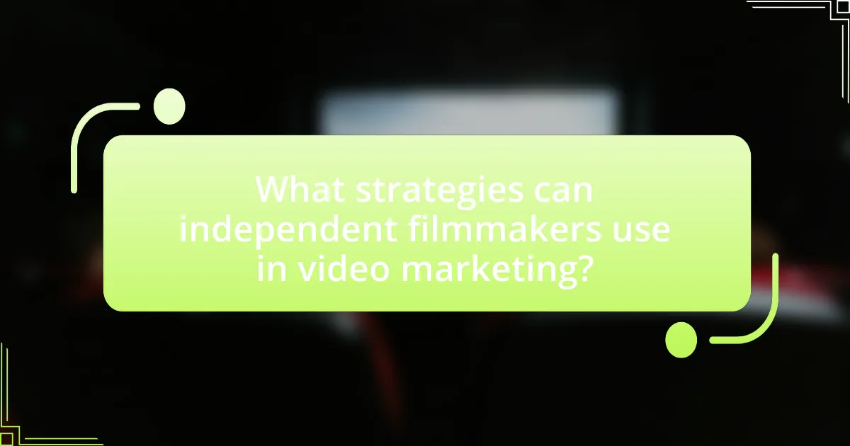 What strategies can independent filmmakers use in video marketing?